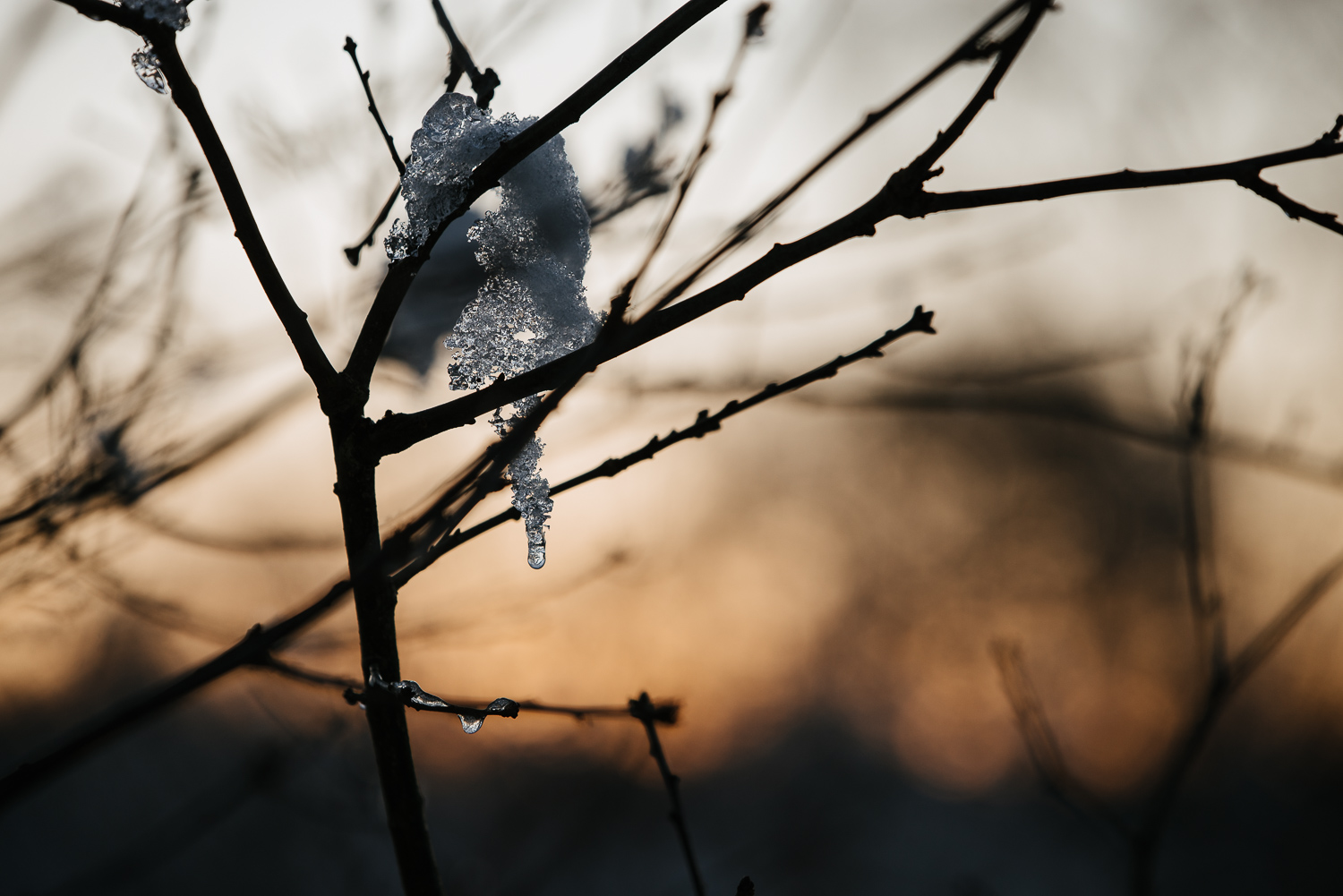 Winter snowfall in Worcestershire-16.jpg