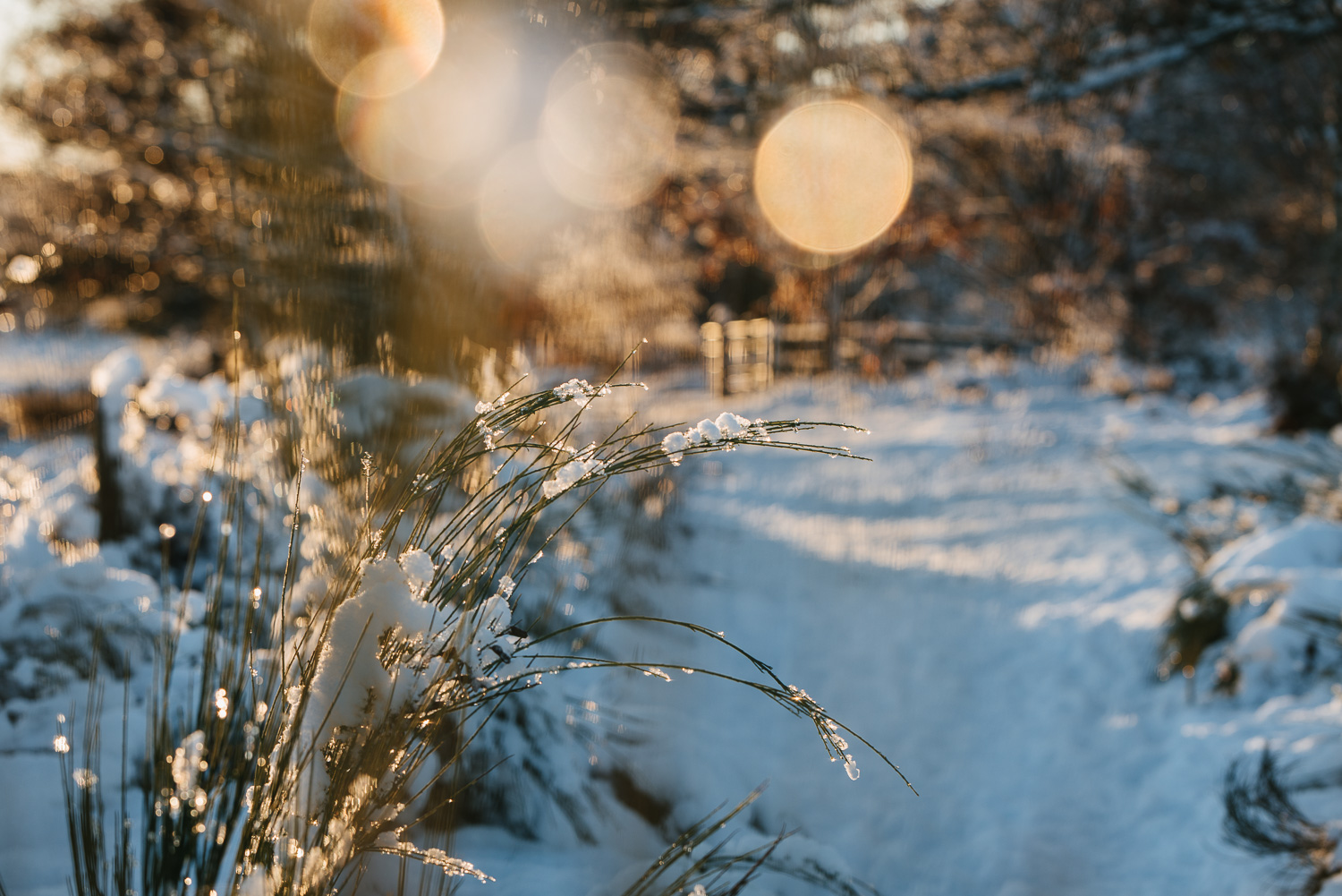 Winter snowfall in Worcestershire-11.jpg