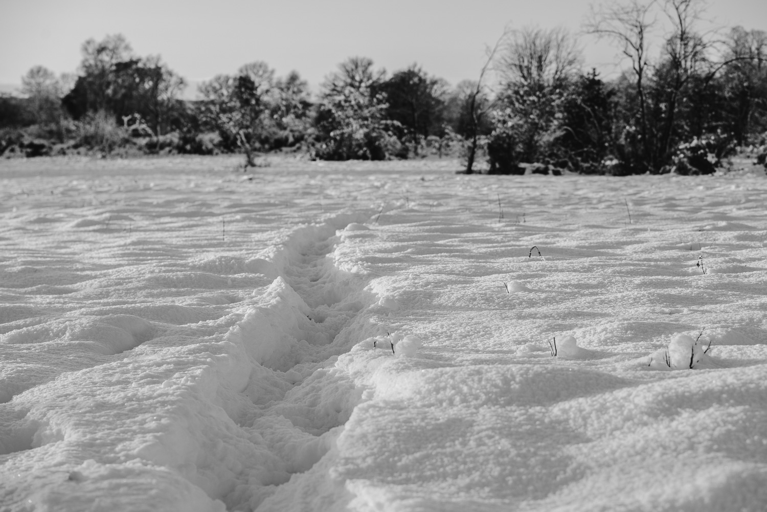 Winter snowfall in Worcestershire-8.jpg