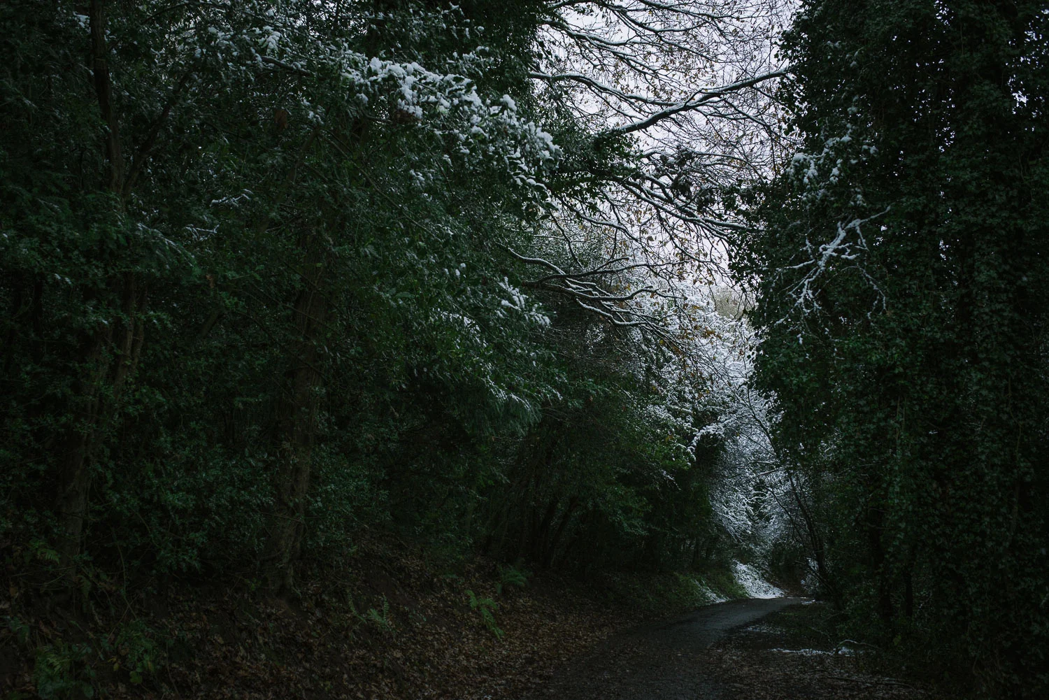 Photographer in Worcestershire-1-2.jpg