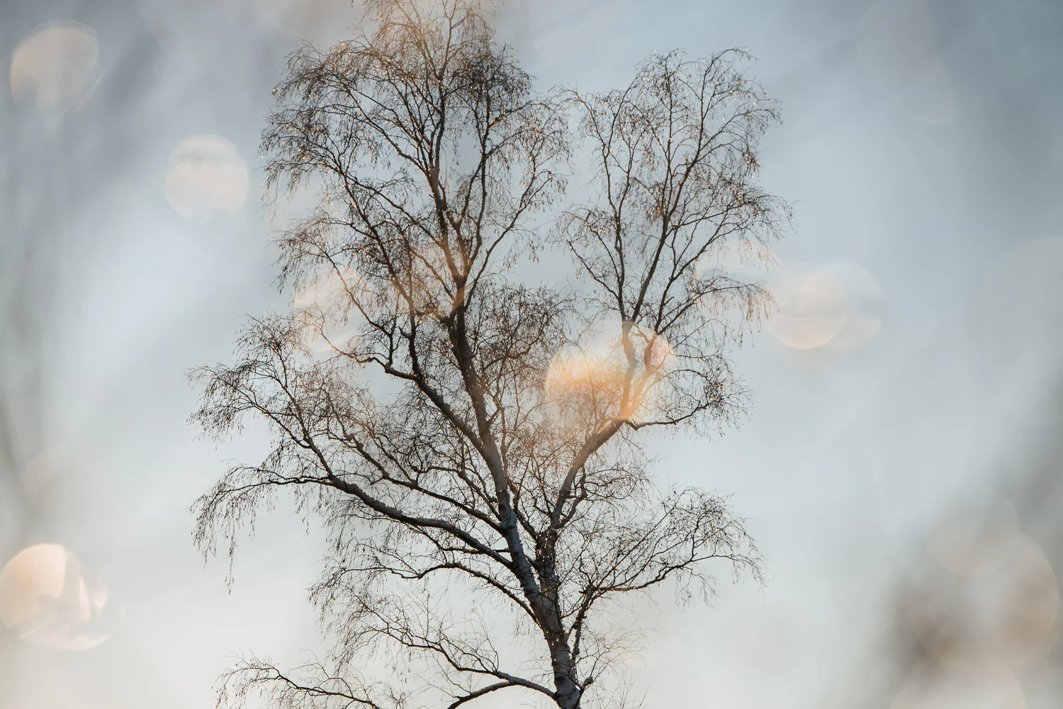 Photographer in Worcestershire-2-3.jpg