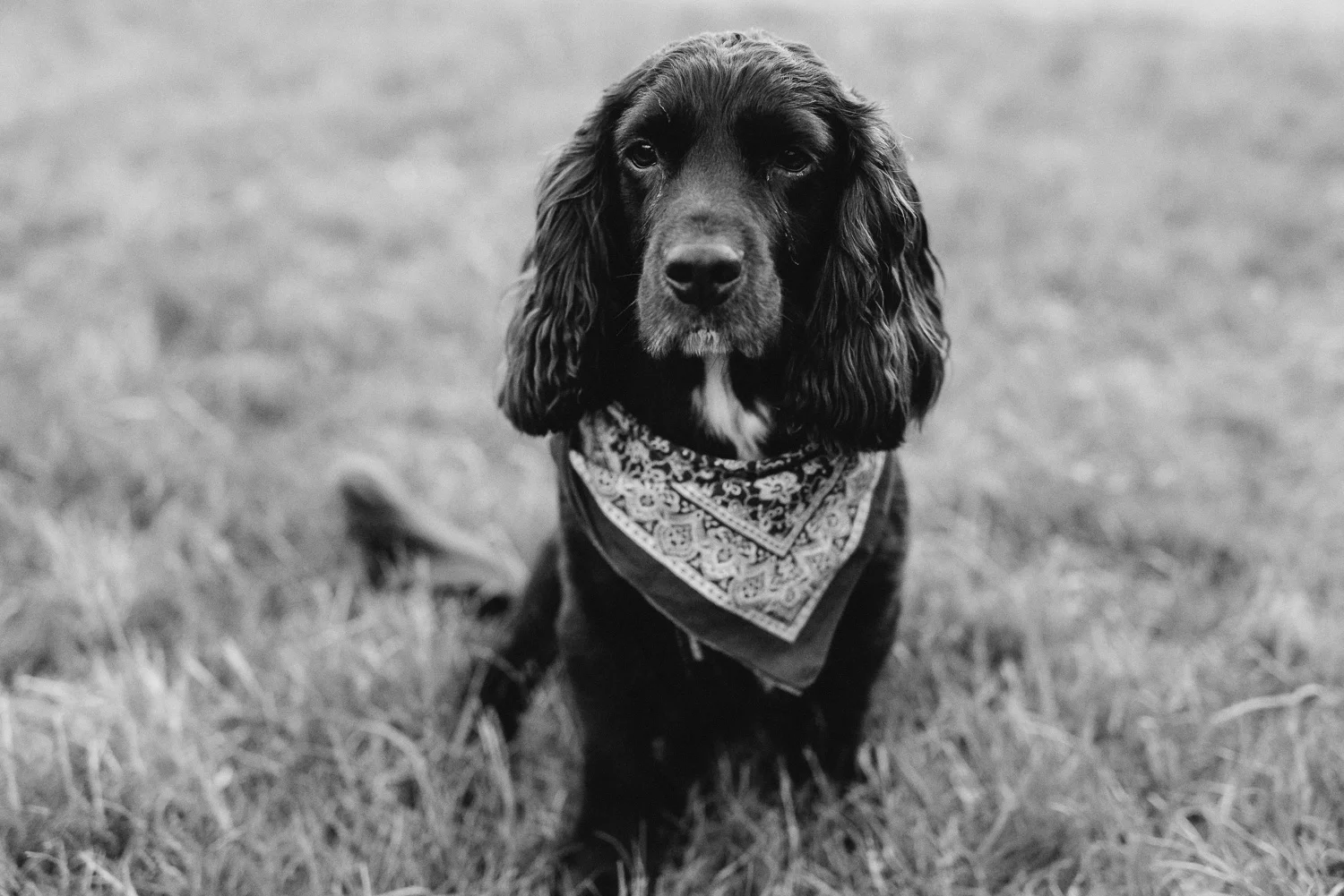 Wedding Photographer in Shropshire-89.jpg