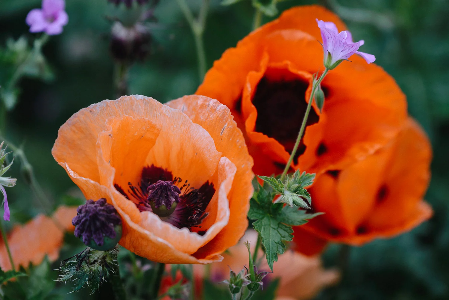 Abbey House Gardens Malmesbury Wedding-123.jpg