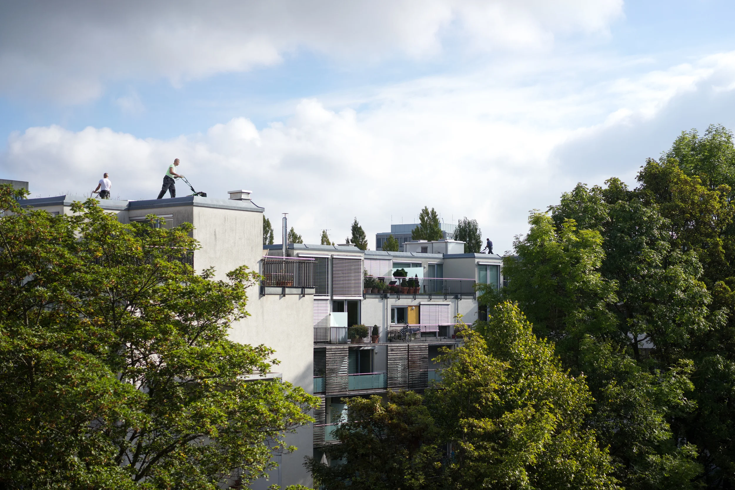   "Rooftop Lawn Mower" , Munich, 2013 