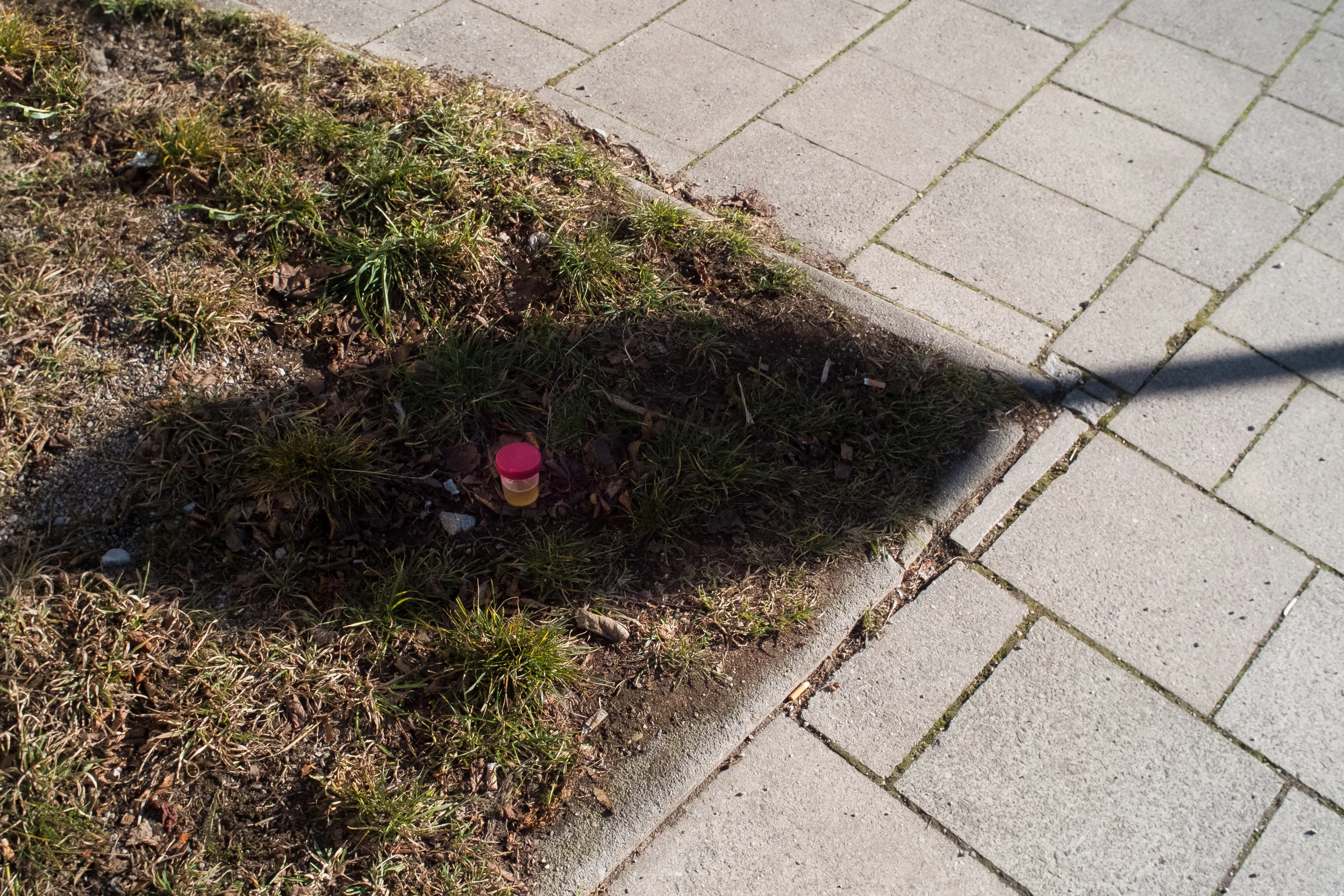   "Lost Drug Test", &nbsp;Munich, Germany, 2013 