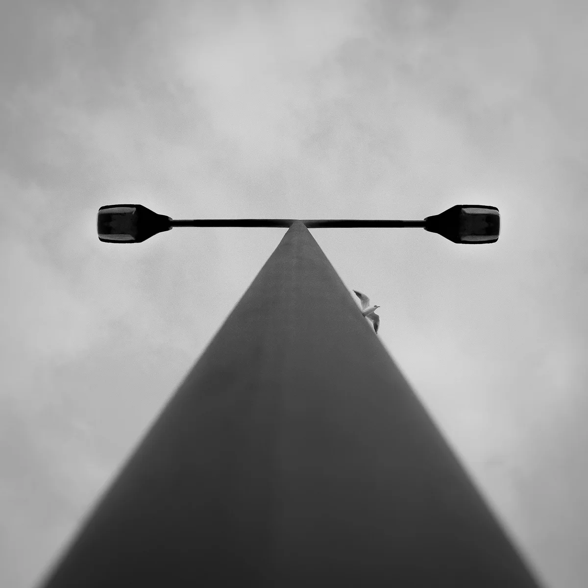 harry_f-7.jpg