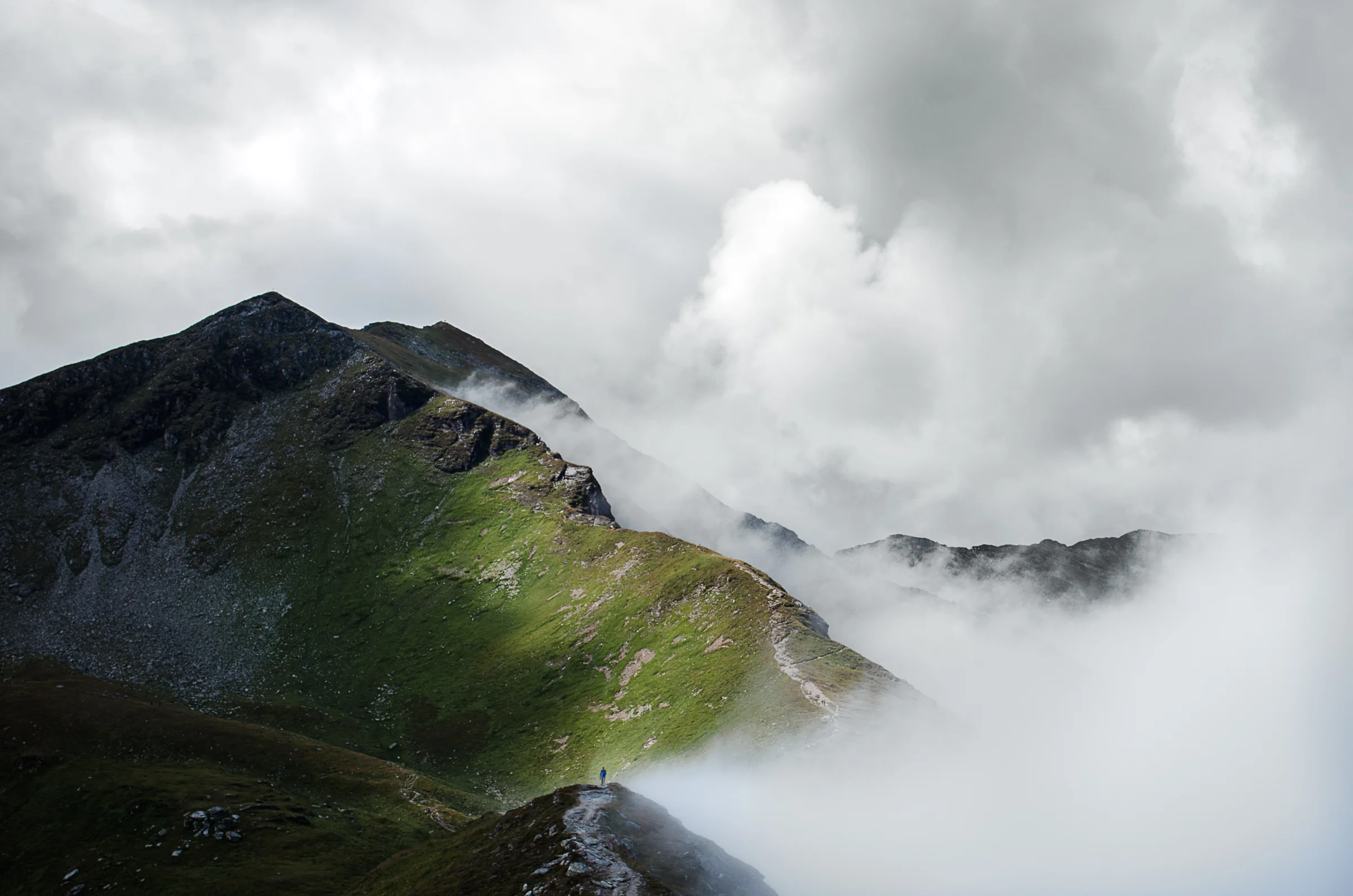   "Foggy Path" , Alps near Salzburg, Austria, 2013 