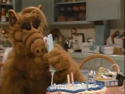 giphy-1.gif