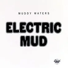 220px-Electric_Mud.jpg