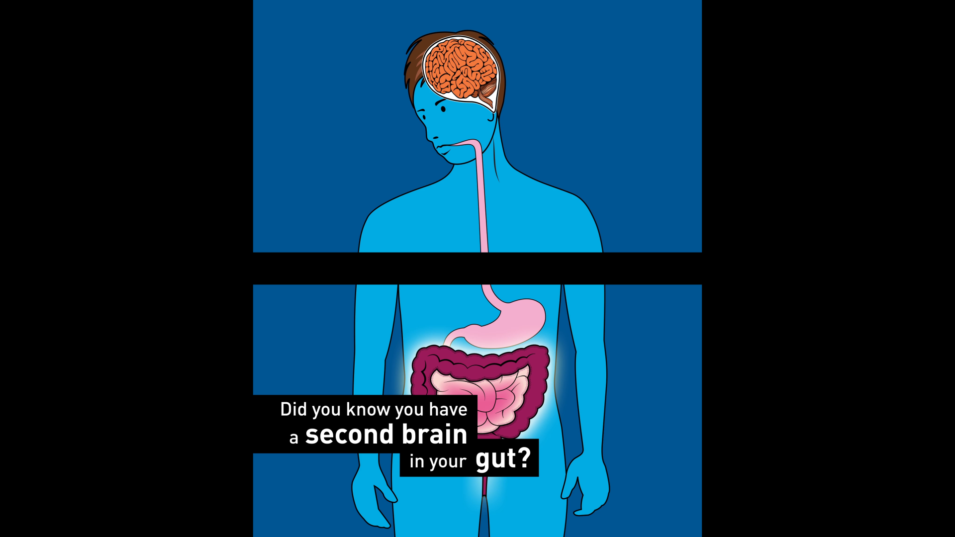SM_Cravings_Gut3.png