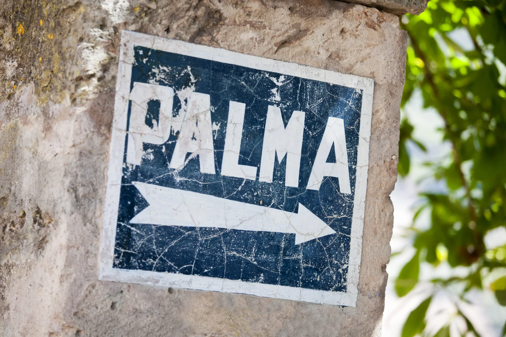 iStock_000017834802_Medium.jpg