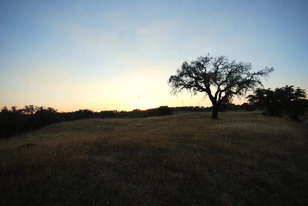 DSC_6481.jpg