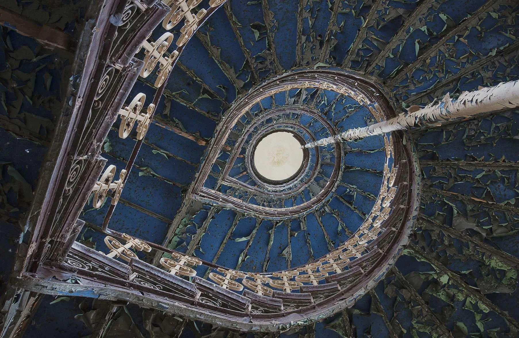 tn_site_legrandbleu_clean.jpg