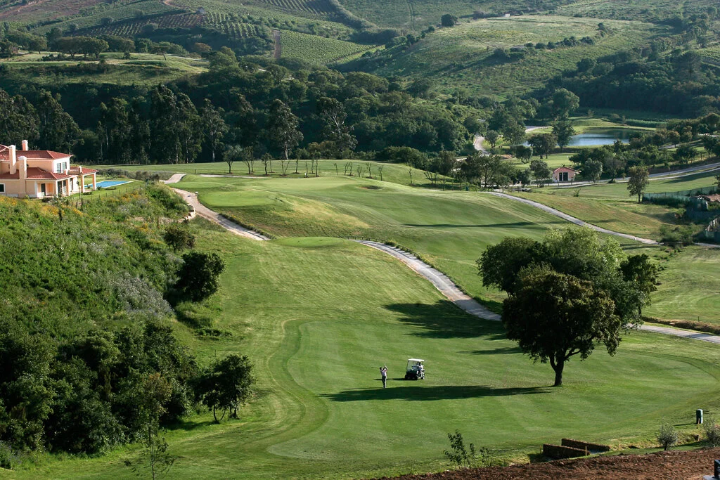cr_golf_315_r.jpg