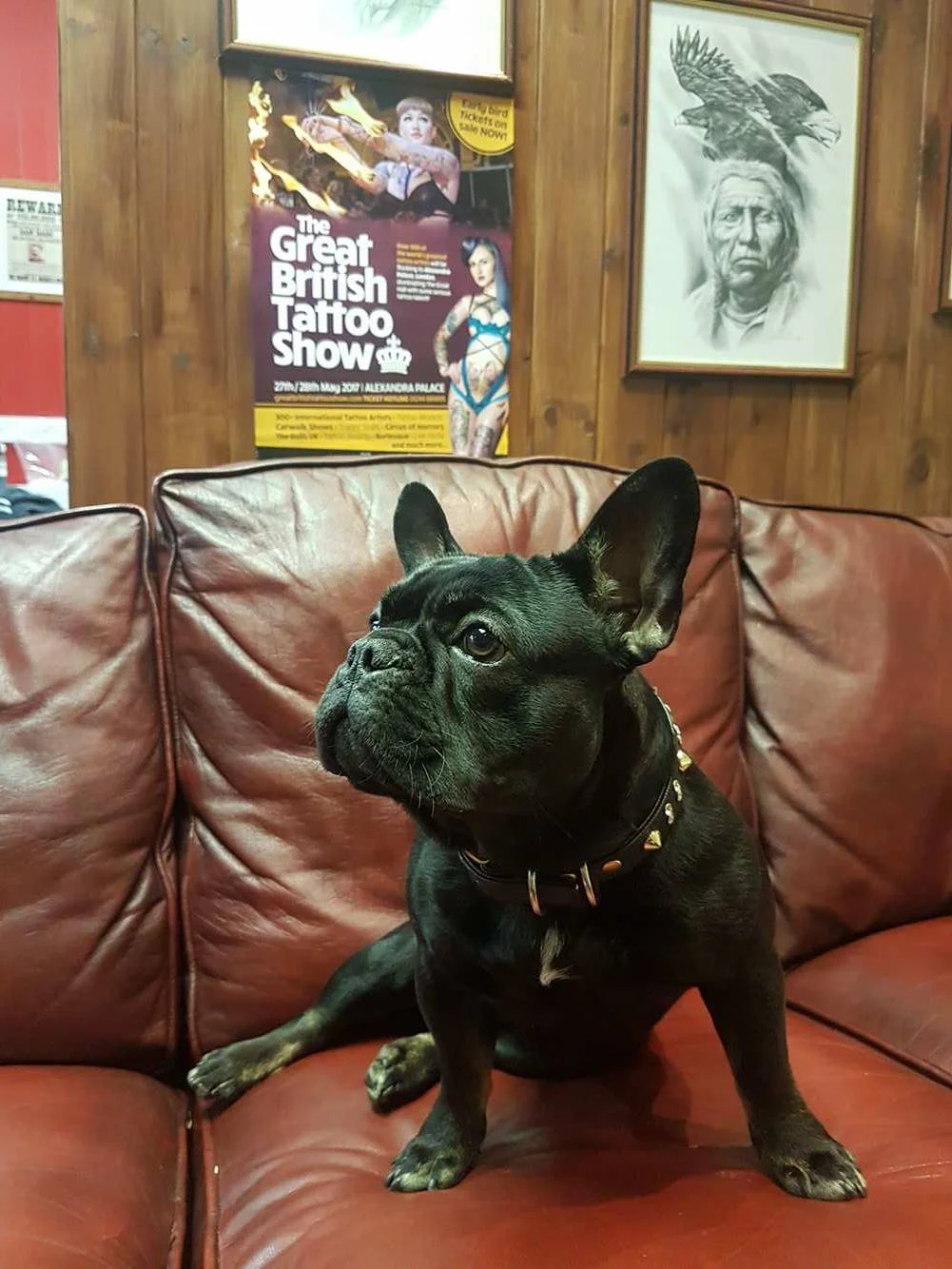 Smoking Guns Tattoo & Piercing Studio (ft. Ham the Frenchie)