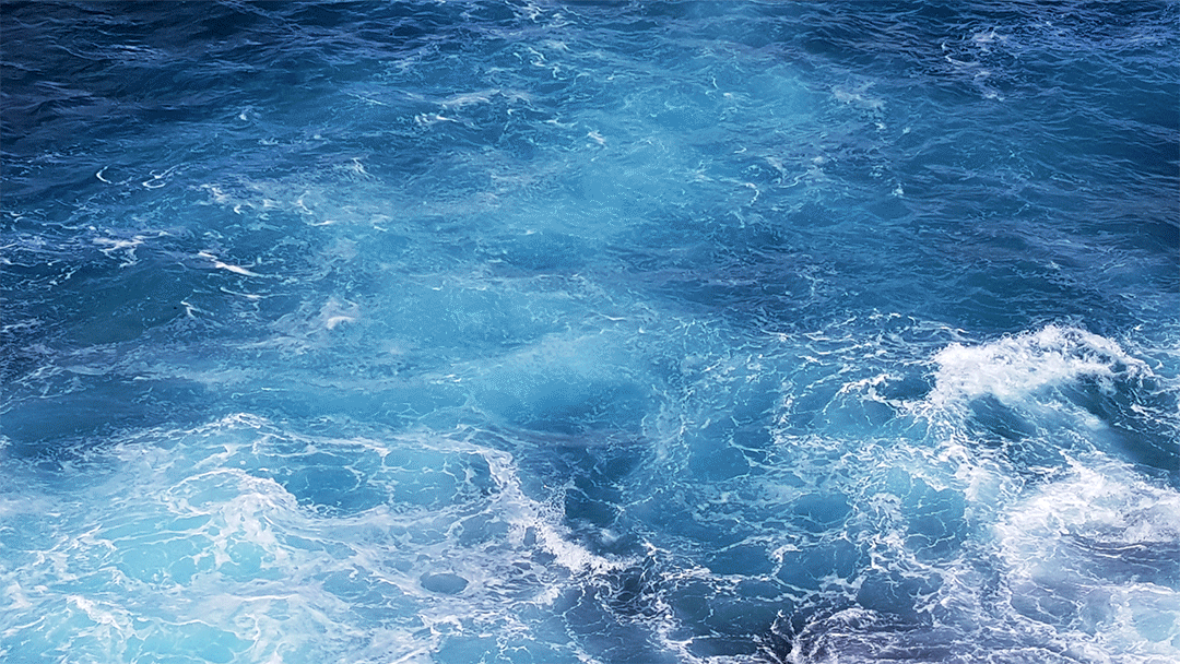 Website-background4.gif