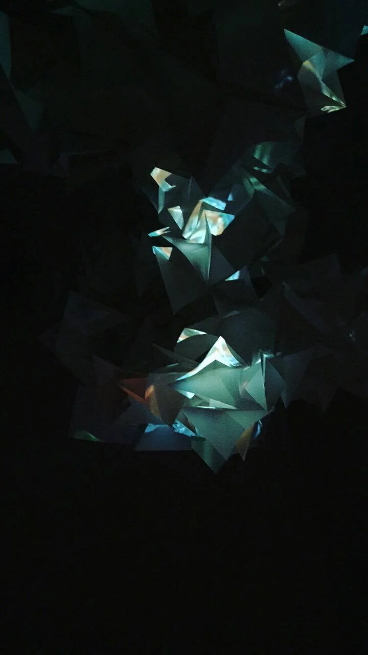 14284951_10154054482708978_802868485_o.jpg