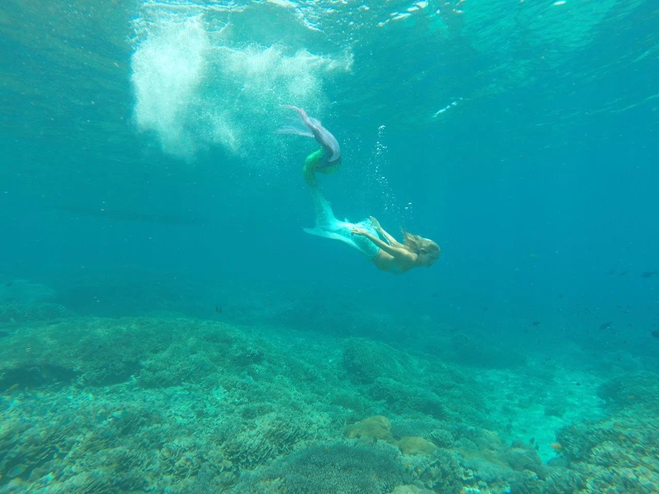 Spotted off Lembongan...