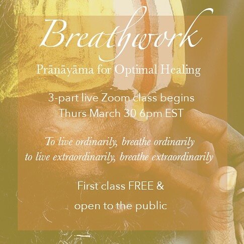 Have you been wanting to learn more about breathwork/prānāyāma and simply haven&rsquo;t had the right opportunity? Or perhaps you&rsquo;ve been mystified by which ones you should do and how to correctly practice them to best bring health and peace in