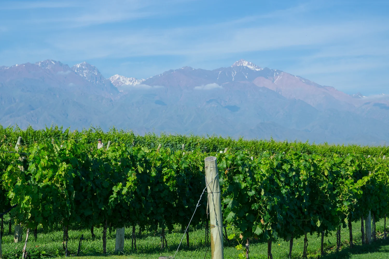 Mendoza (and Buenos Aires)