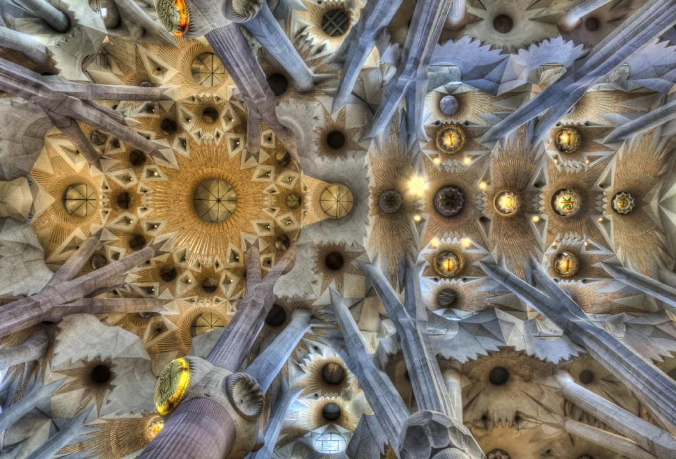 AdobeStock_104671176.jpeg