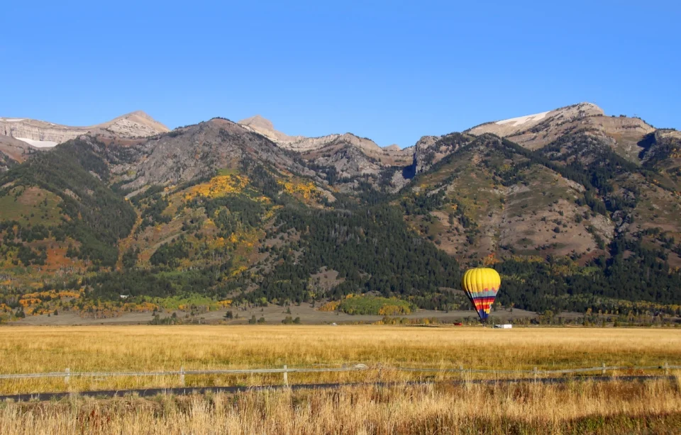 AdobeStock_27021591.jpeg