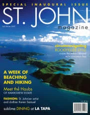 stjm-cover3.jpg