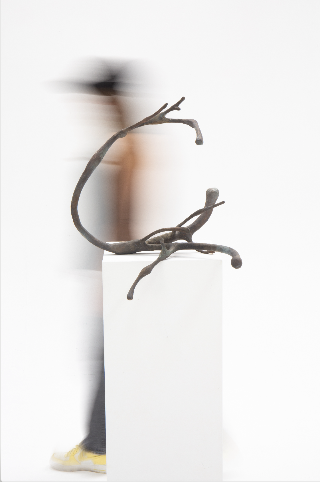 Scherm­afbeelding 2026-02-20 om 13.00.10.png