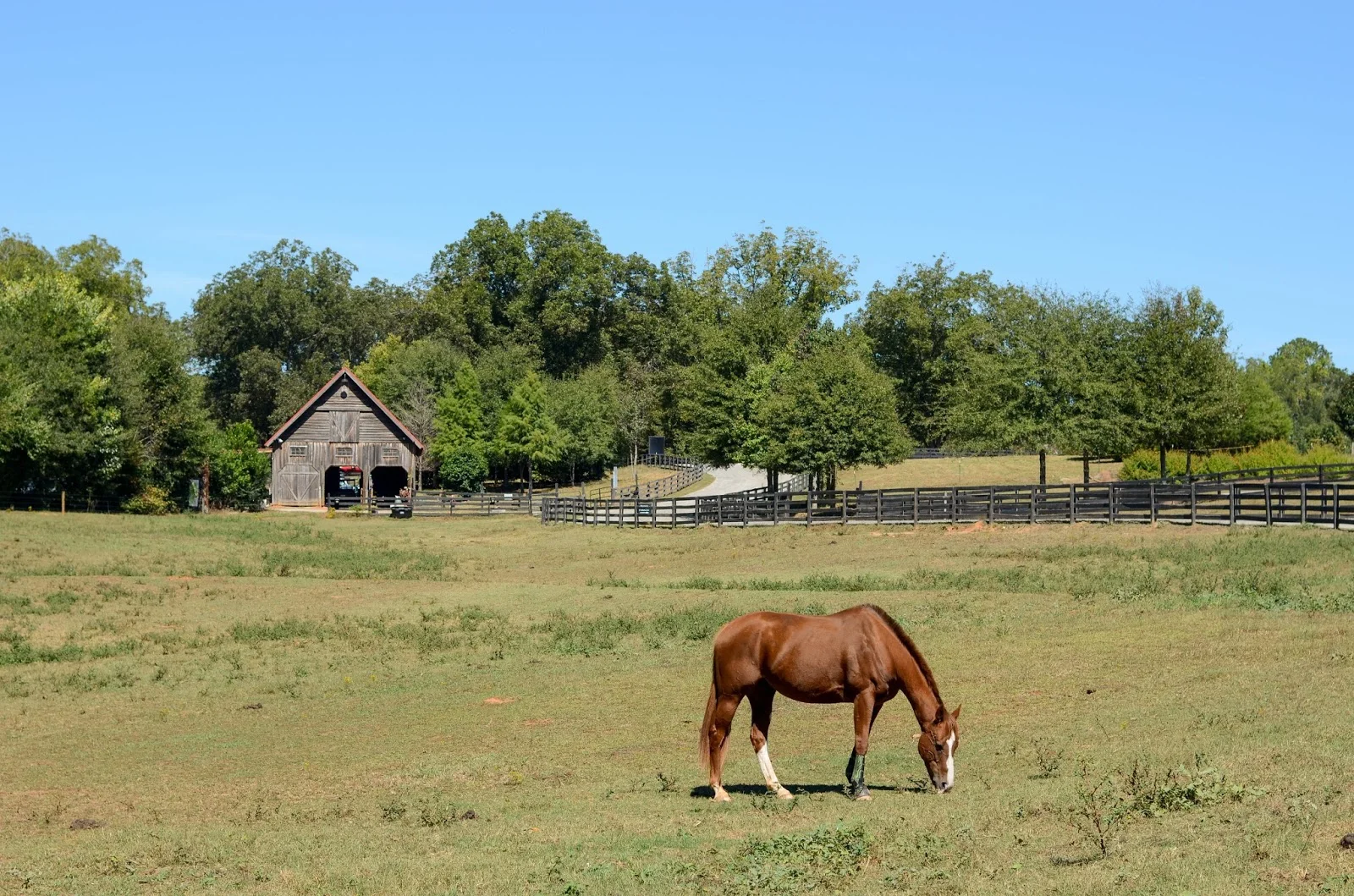 Serenbe | A Day In The Utopian Countryside