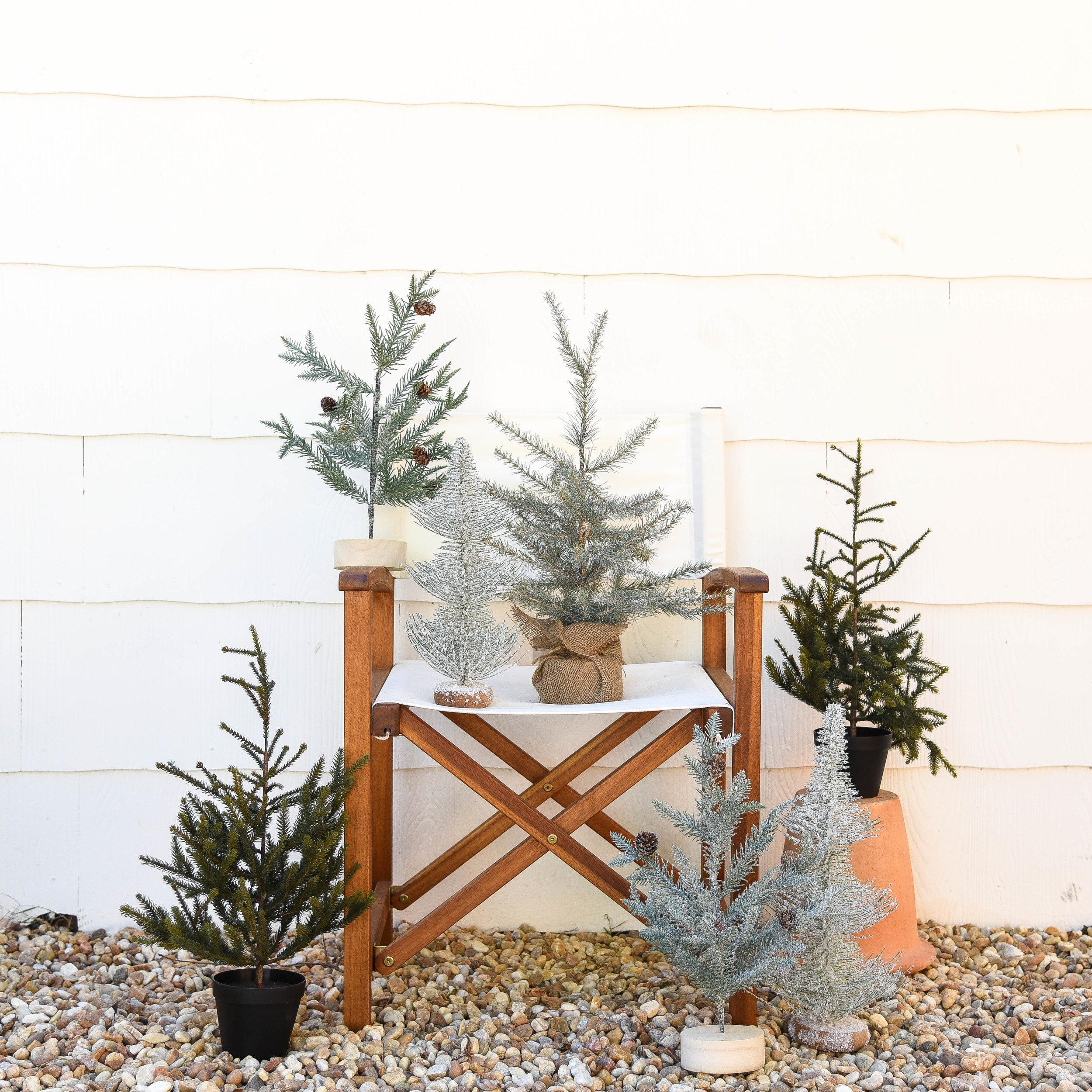 Holiday Favorites  |  Where to Buy Mini Christmas Trees