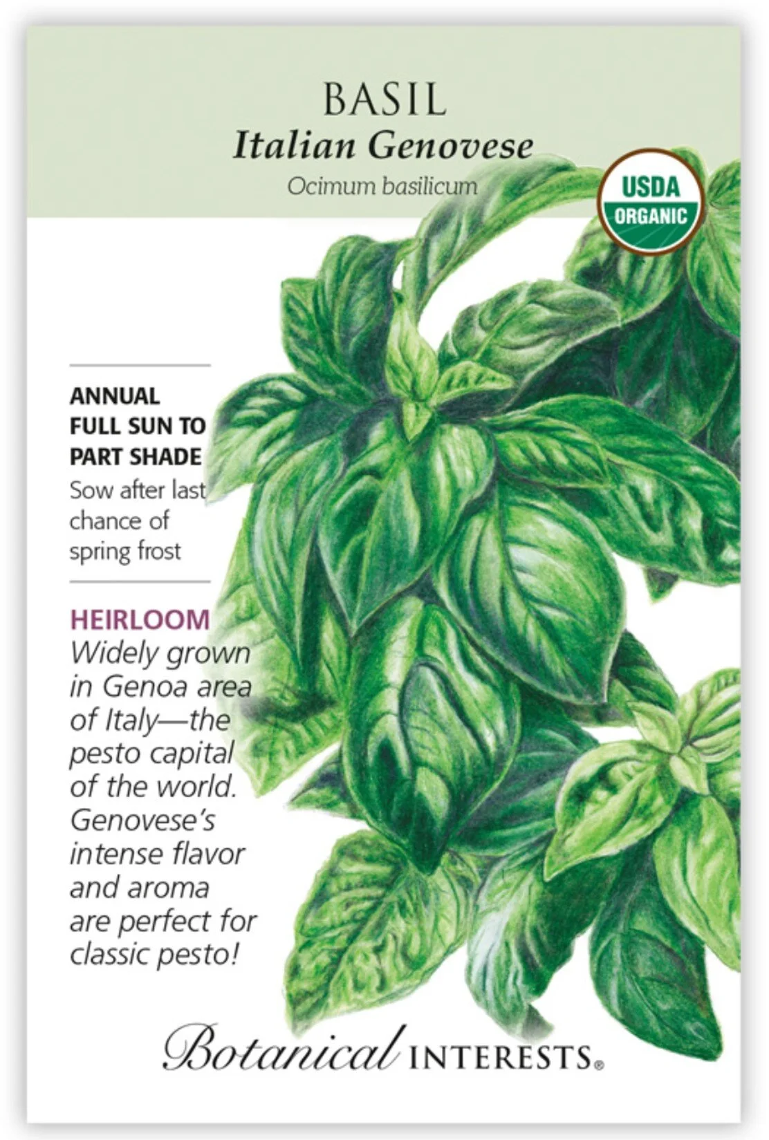 basil.jpg