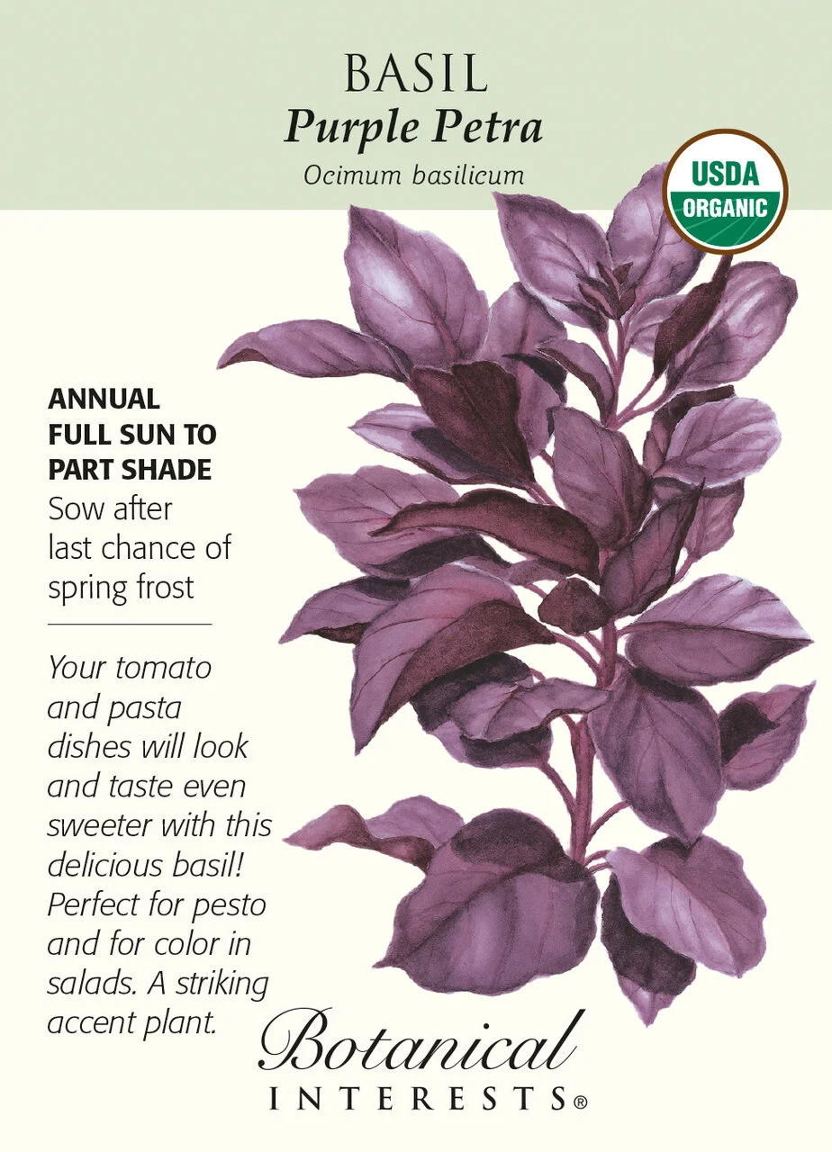 Botanical Interests Purple Petra Basil.jpg