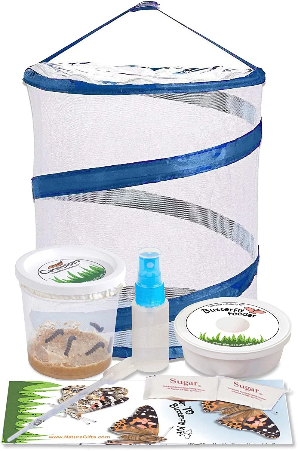 Butterfly Caterpillar Kit.jpg