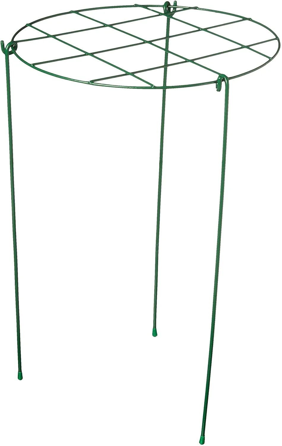 Garden Supports, Peony.jpg
