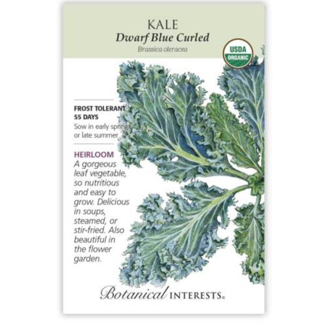 My Kids Favorite Kale Variety