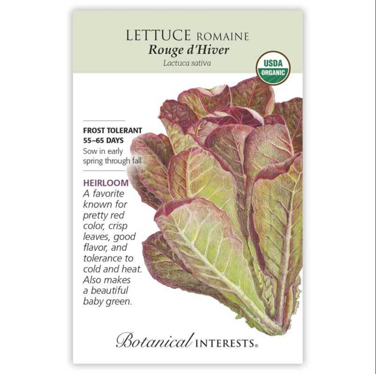 This Romaine Adds Beauty In The Garden &amp; On The Plate