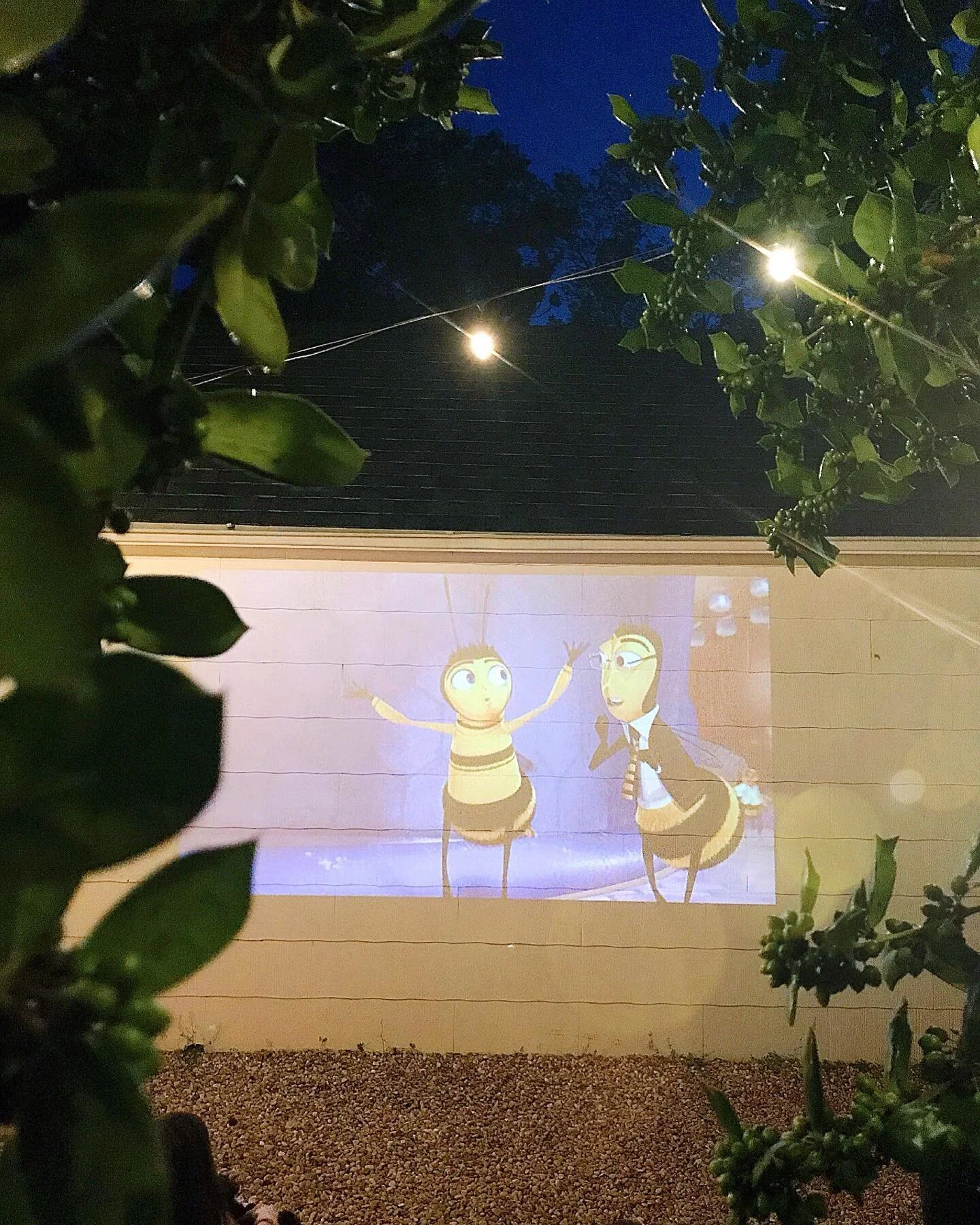 Name that movie?! Friday night movie nights are always my favorite and this week really marks a milestone - I now have kindergarteners 🤗🤗🤗. KINDERGARTENERS!!!!! My babies no more, this mama heart was heavy in anticipation to starting this new chap