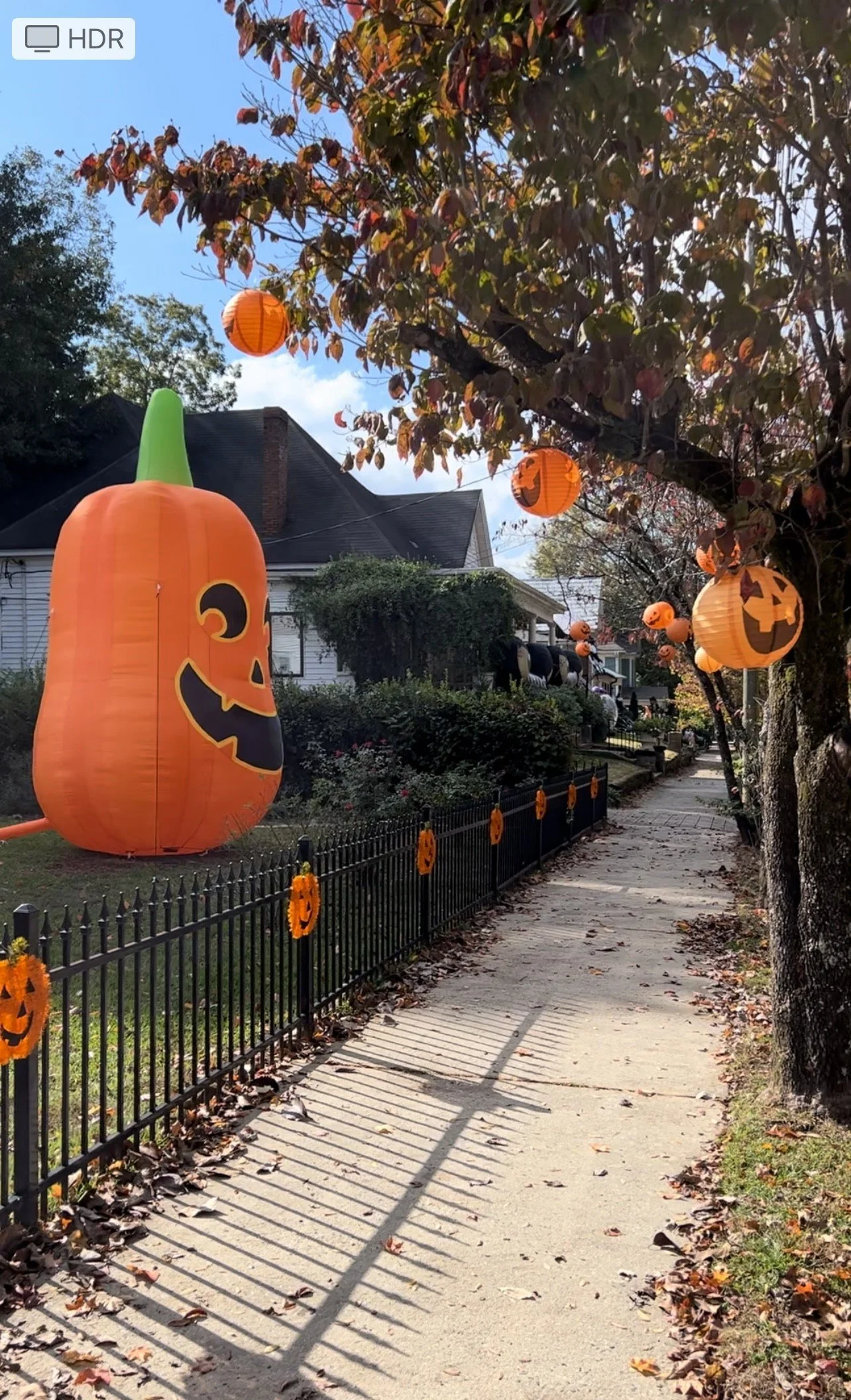 Halloween Decor 2023