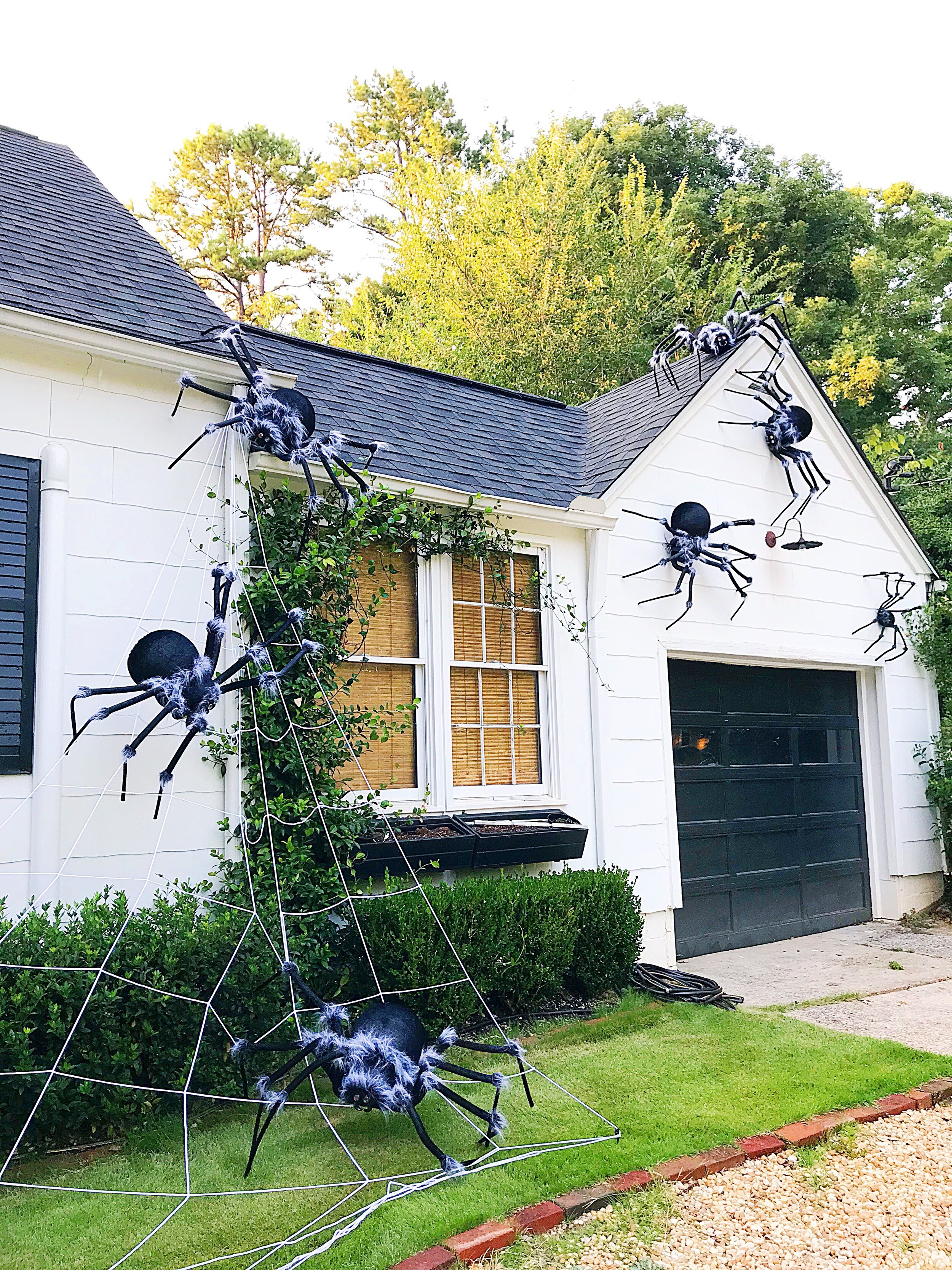 Halloween Decor 2024 — iron & twine