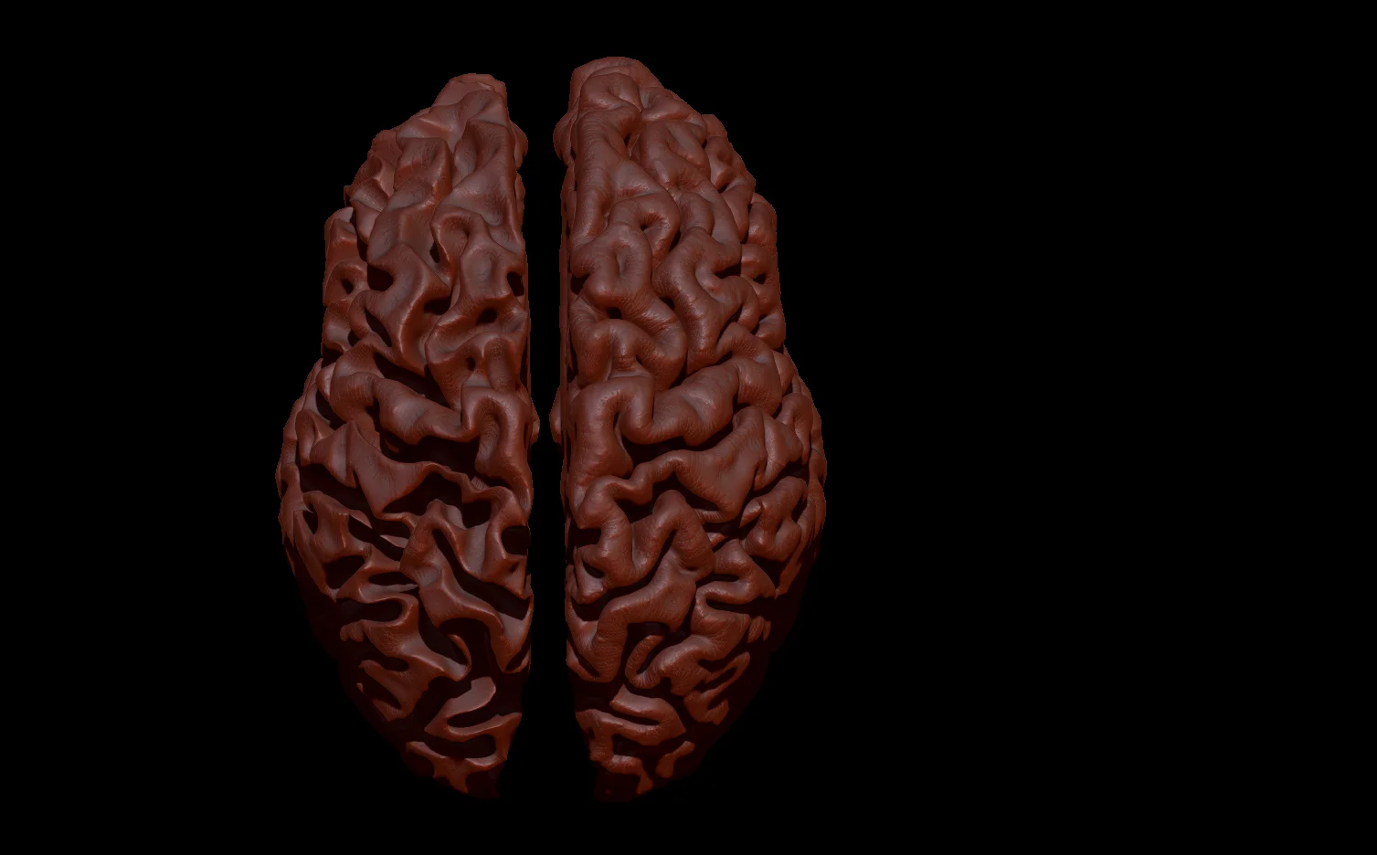 A quick rendering of my brain in Zbrush... much work to be done! Left hemisphere has Alzheimer's, right hemisphere is normal.