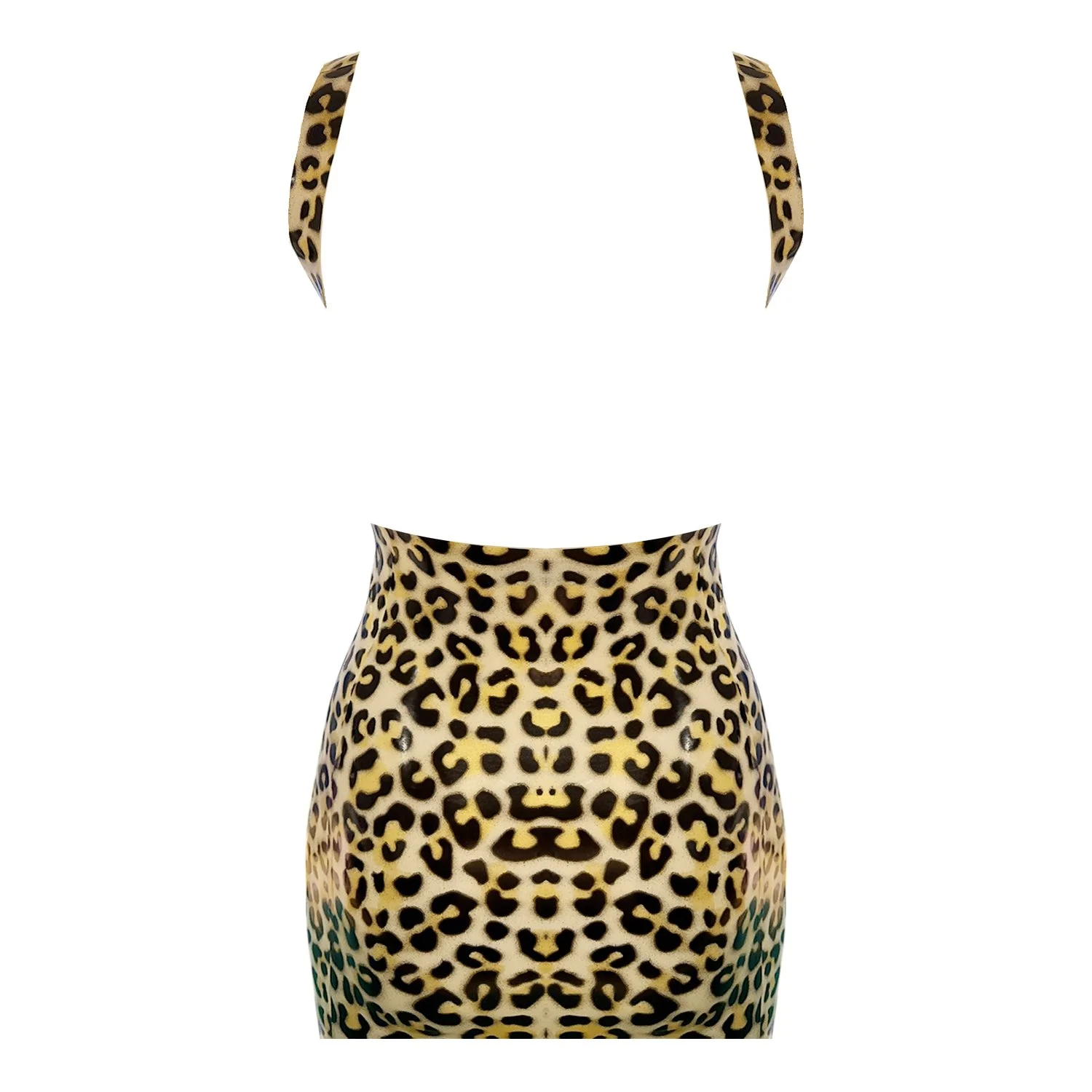 BACKLESS LEOPARD BACK.jpg