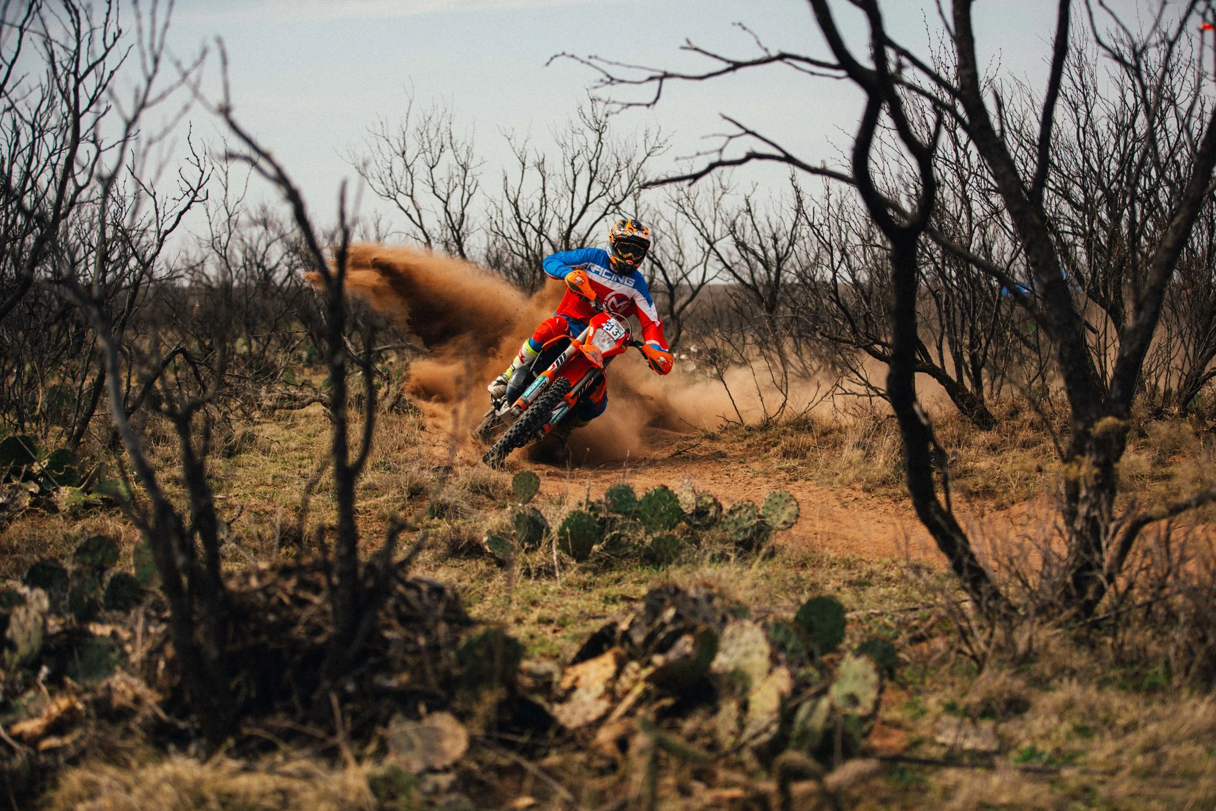 Silt berms and cactus all day long!
