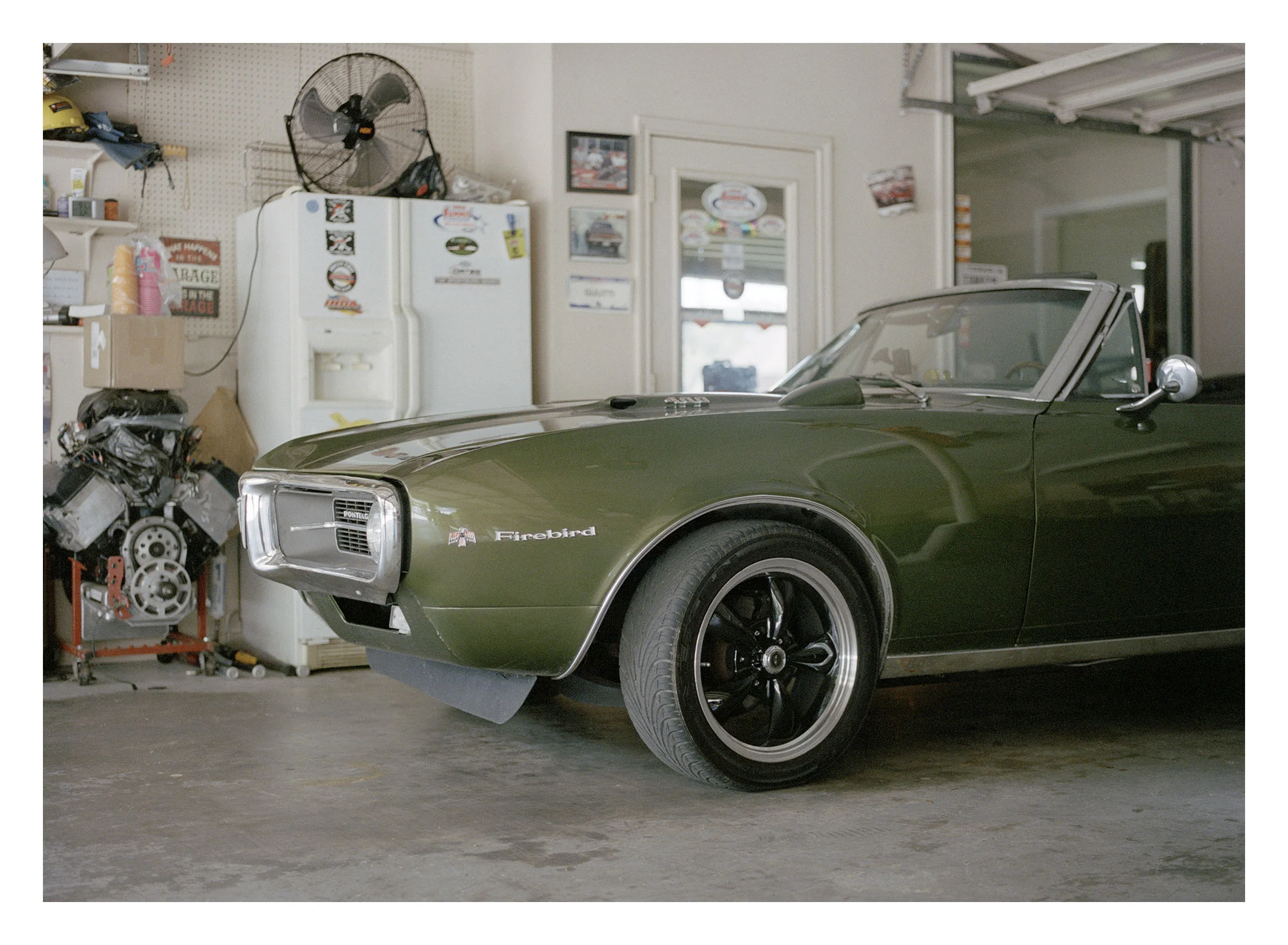 Firebird_002.jpg