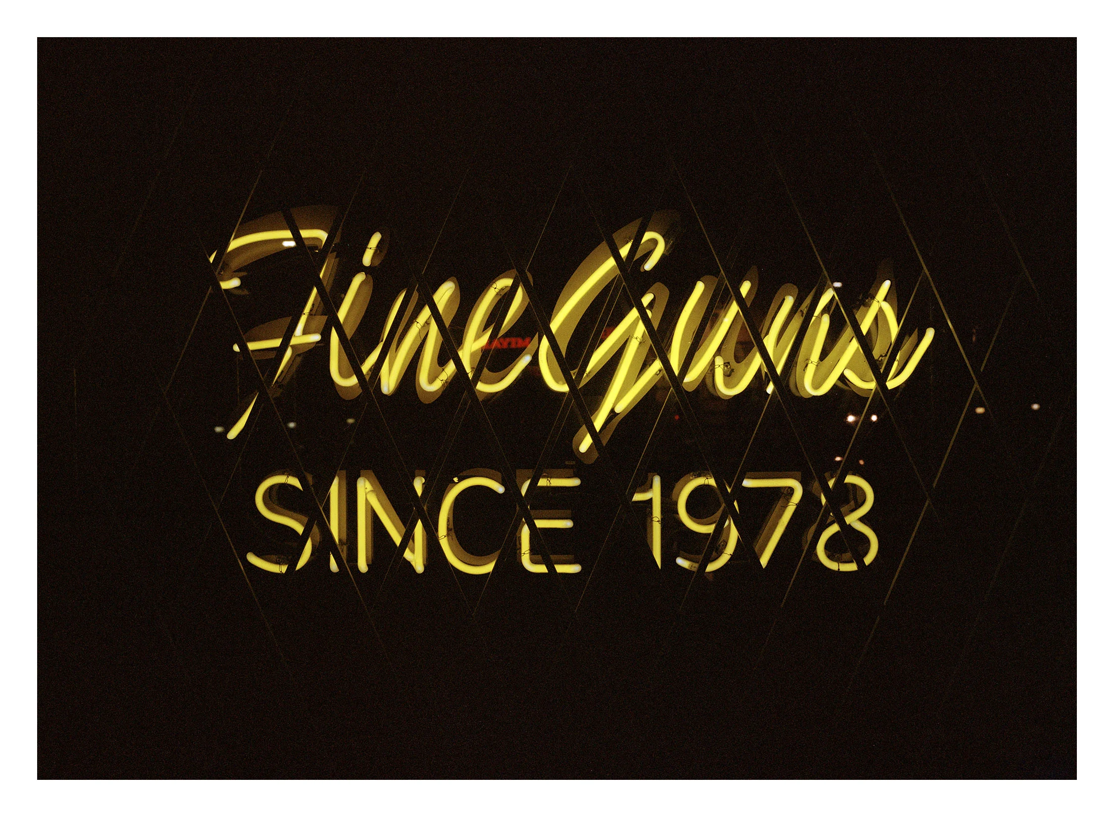 FineGuns_001.jpg