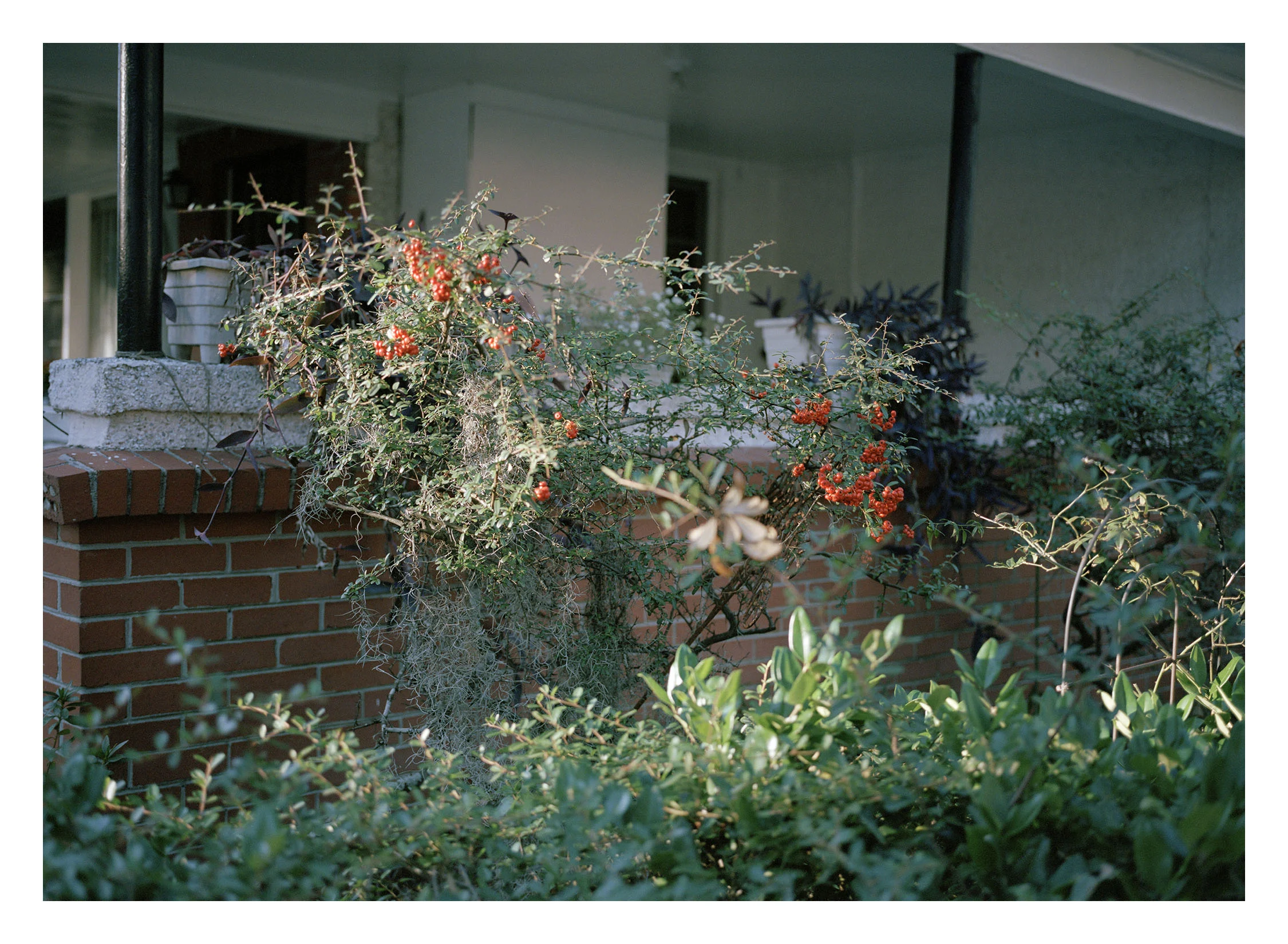 Home_005.jpg