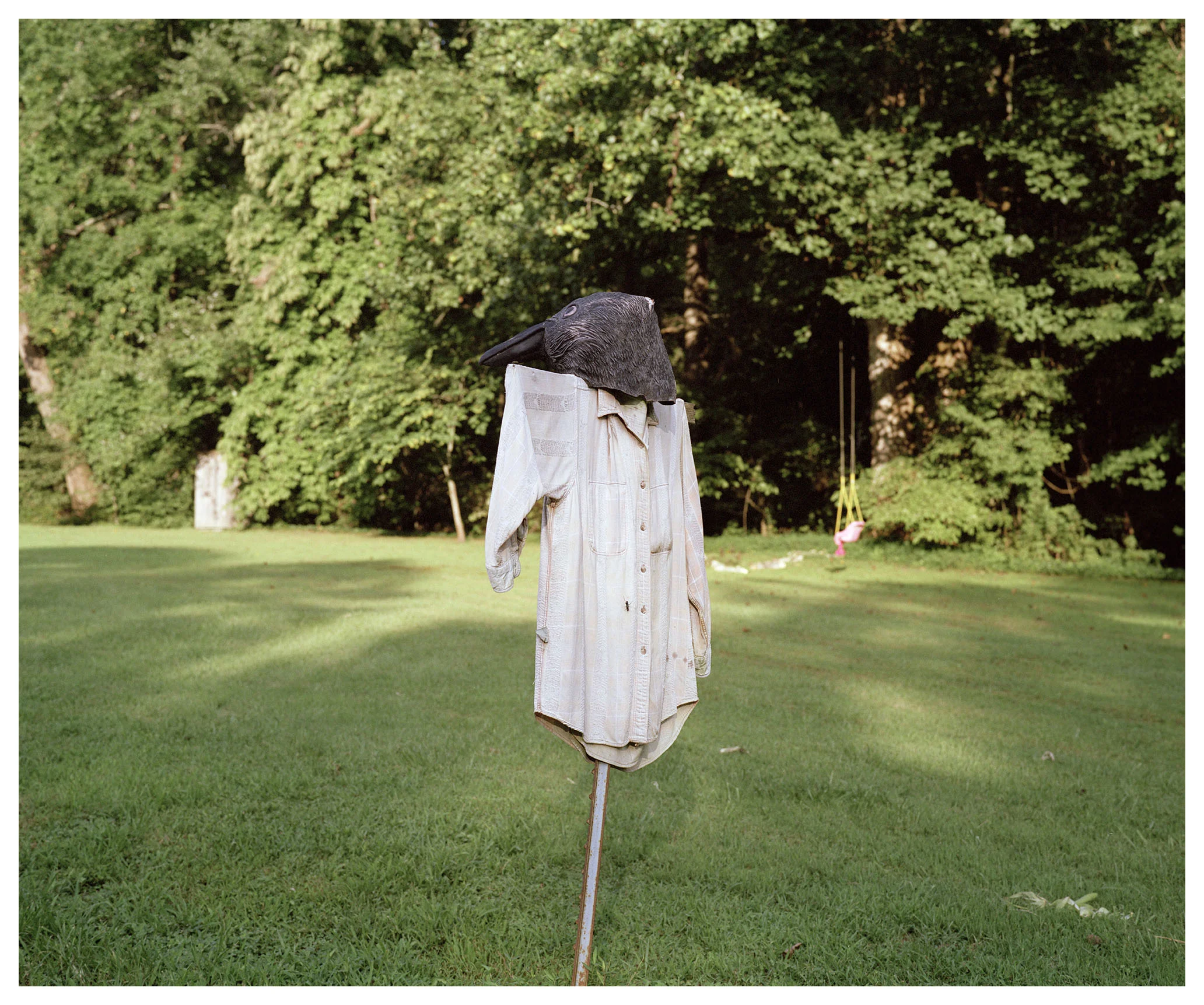 Scarecrow_002.jpg