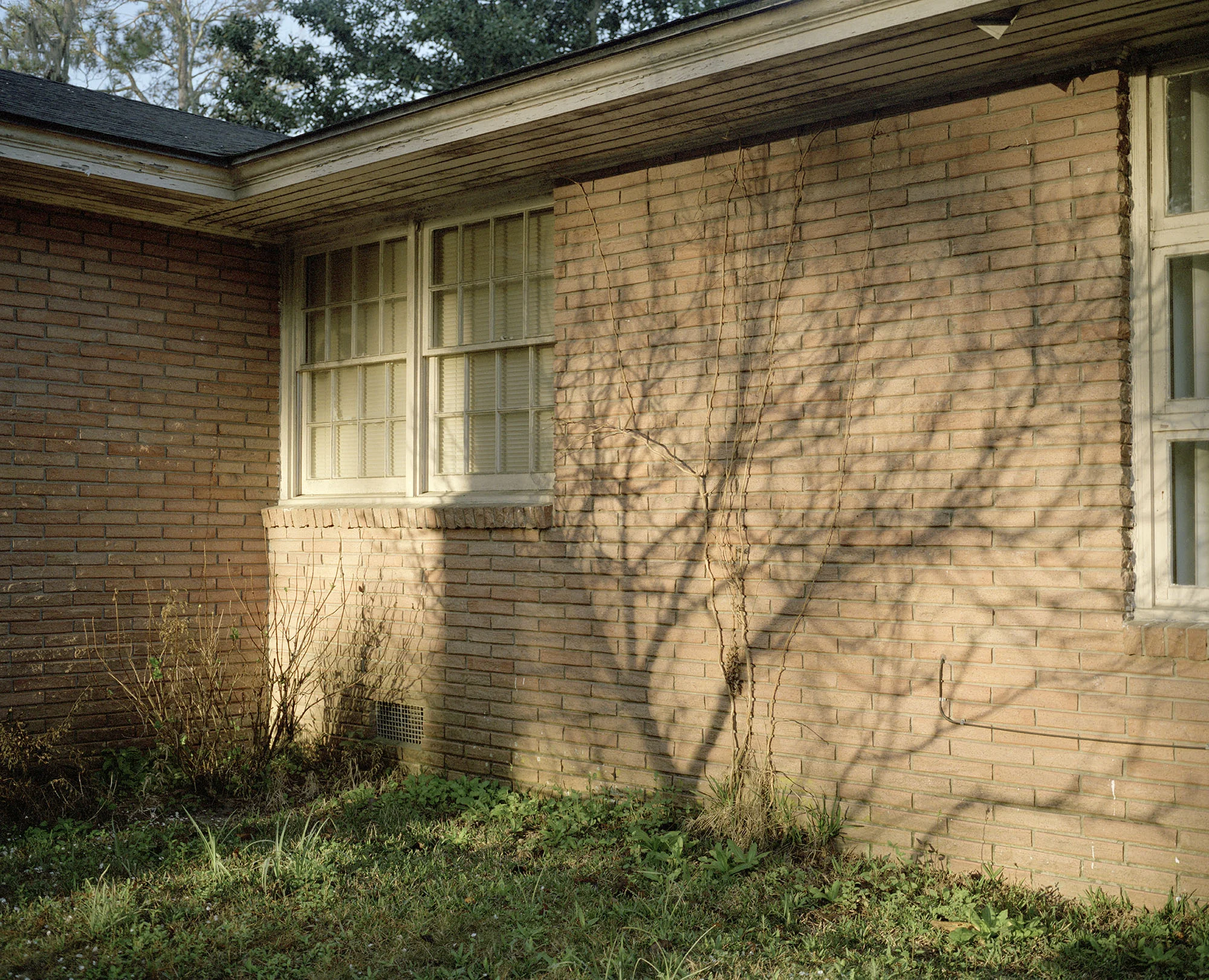 Home_001.jpg