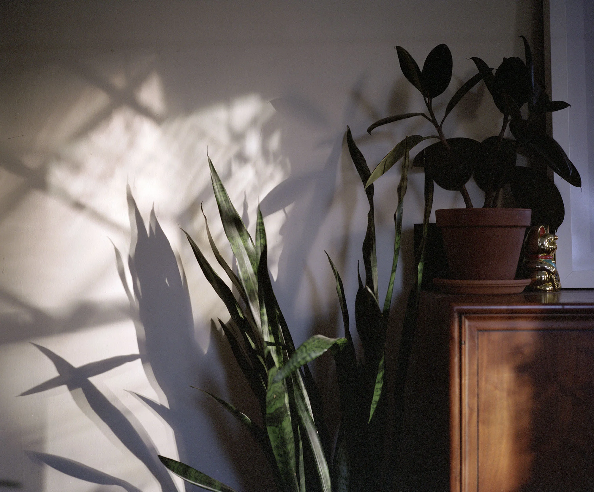 Home_001.jpg