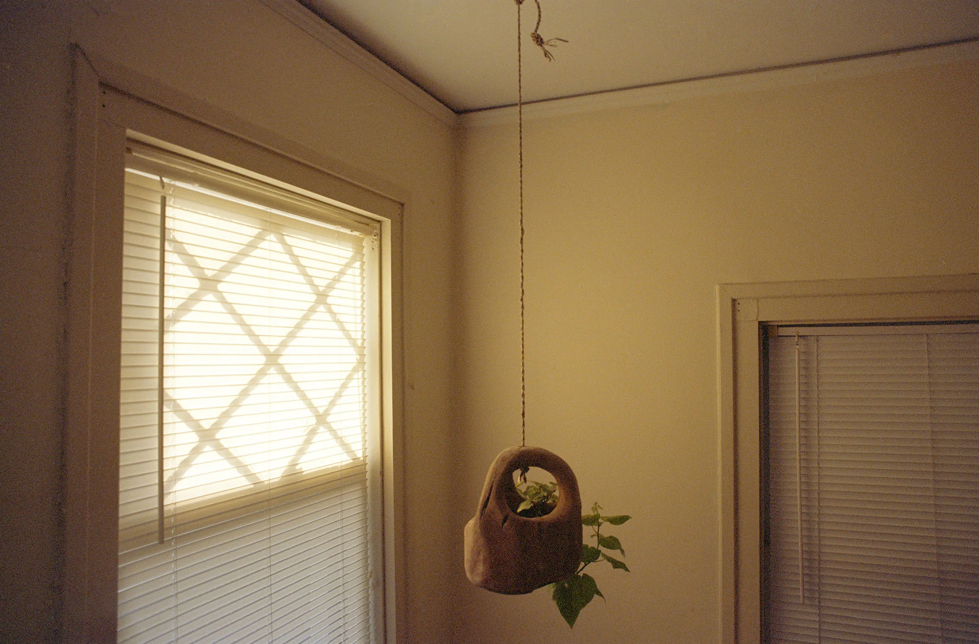 Home_002.jpg