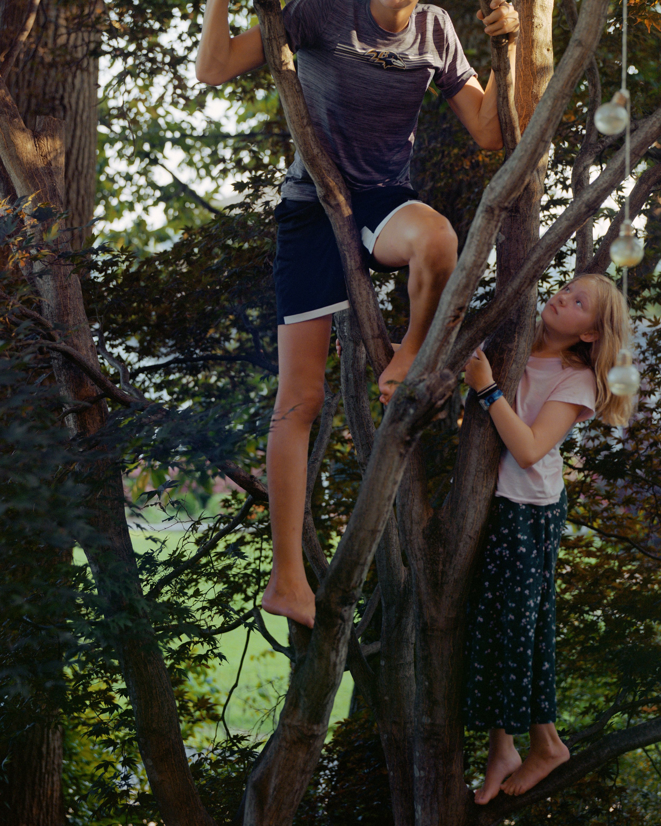 Treeclimbers_001.jpg